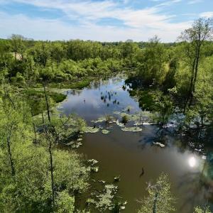 Photo #14 of 664 Peak Branch Rd, Snow Hill, NC 54.6 acres