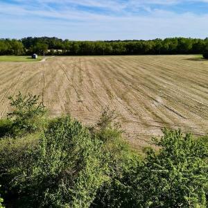 Photo #15 of 664 Peak Branch Rd, Snow Hill, NC 54.6 acres