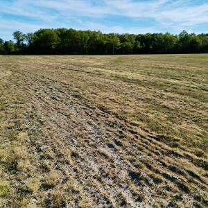 Photo #16 of 664 Peak Branch Rd, Snow Hill, NC 54.6 acres
