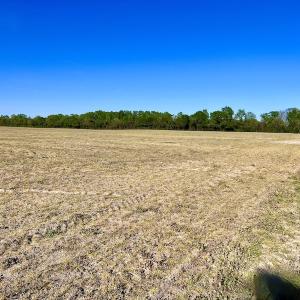 Photo #17 of 664 Peak Branch Rd, Snow Hill, NC 54.6 acres