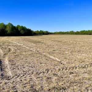 Photo #18 of 664 Peak Branch Rd, Snow Hill, NC 54.6 acres