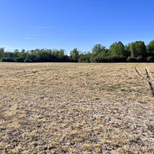 Photo #19 of 664 Peak Branch Rd, Snow Hill, NC 54.6 acres