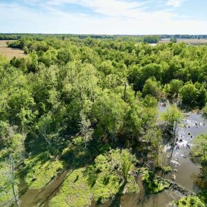 Photo #20 of 664 Peak Branch Rd, Snow Hill, NC 54.6 acres