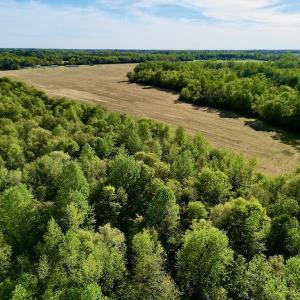 Photo #21 of 664 Peak Branch Rd, Snow Hill, NC 54.6 acres