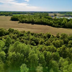 Photo #22 of 664 Peak Branch Rd, Snow Hill, NC 54.6 acres