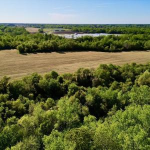 Photo #23 of 664 Peak Branch Rd, Snow Hill, NC 54.6 acres