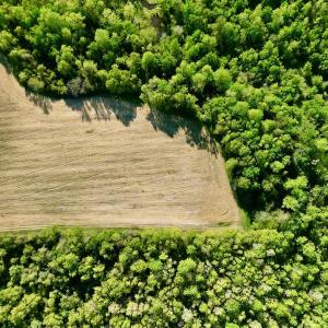 Photo #24 of 664 Peak Branch Rd, Snow Hill, NC 54.6 acres