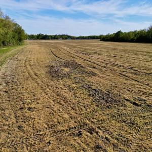 Photo #25 of 664 Peak Branch Rd, Snow Hill, NC 54.6 acres