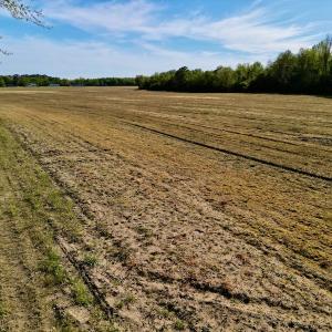 Photo #26 of 664 Peak Branch Rd, Snow Hill, NC 54.6 acres