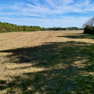 Photo #28 of 664 Peak Branch Rd, Snow Hill, NC 54.6 acres