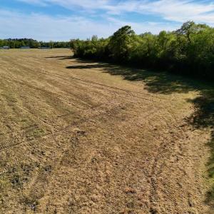 Photo #30 of 664 Peak Branch Rd, Snow Hill, NC 54.6 acres