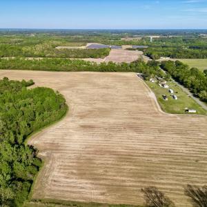 Photo #4 of 664 Peak Branch Rd, Snow Hill, NC 54.6 acres