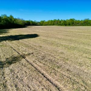 Photo #31 of 664 Peak Branch Rd, Snow Hill, NC 54.6 acres