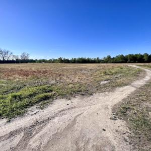 Photo #32 of 664 Peak Branch Rd, Snow Hill, NC 54.6 acres