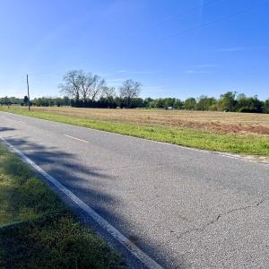 Photo #33 of 664 Peak Branch Rd, Snow Hill, NC 54.6 acres