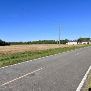 Photo #34 of 664 Peak Branch Rd, Snow Hill, NC 54.6 acres