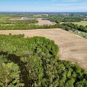 Photo #5 of 664 Peak Branch Rd, Snow Hill, NC 54.6 acres