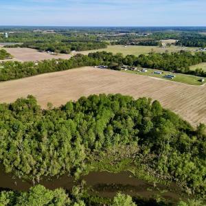 Photo #6 of 664 Peak Branch Rd, Snow Hill, NC 54.6 acres