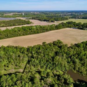 Photo #7 of 664 Peak Branch Rd, Snow Hill, NC 54.6 acres