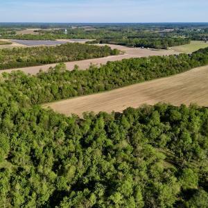 Photo #8 of 664 Peak Branch Rd, Snow Hill, NC 54.6 acres
