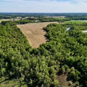 Photo #9 of 664 Peak Branch Rd, Snow Hill, NC 54.6 acres