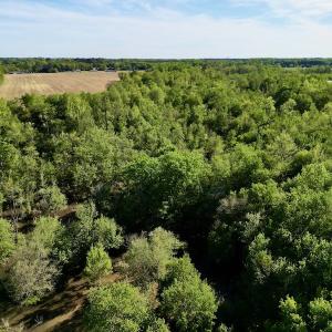 Photo #10 of 664 Peak Branch Rd, Snow Hill, NC 54.6 acres