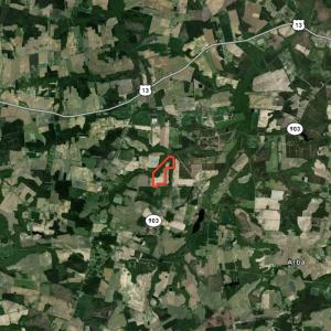 Photo #36 of 664 Peak Branch Rd, Snow Hill, NC 54.6 acres