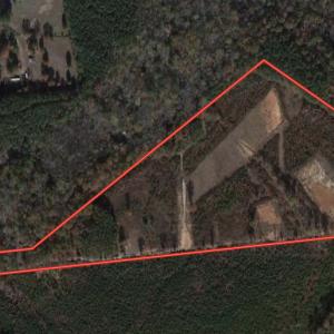 Photo #1 of SOLD property in Off Taylor’s Store Road , Nashville, NC 21.2 acres