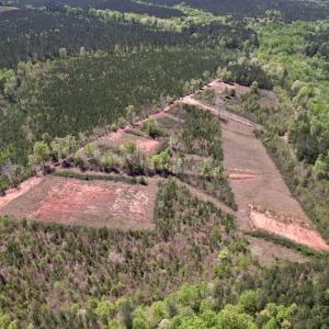 Photo #10 of SOLD property in Off Taylor’s Store Road , Nashville, NC 21.2 acres