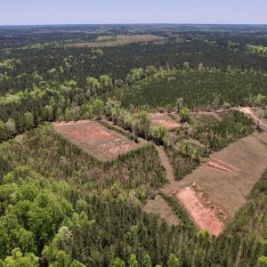 Photo #11 of SOLD property in Off Taylor’s Store Road , Nashville, NC 21.2 acres
