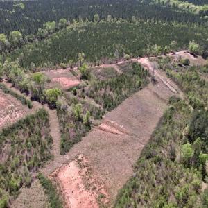 Photo #12 of SOLD property in Off Taylor’s Store Road , Nashville, NC 21.2 acres