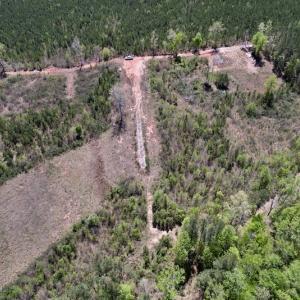 Photo #13 of SOLD property in Off Taylor’s Store Road , Nashville, NC 21.2 acres