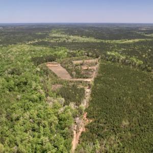 Photo #17 of SOLD property in Off Taylor’s Store Road , Nashville, NC 21.2 acres