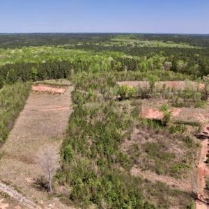 Photo #19 of SOLD property in Off Taylor’s Store Road , Nashville, NC 21.2 acres