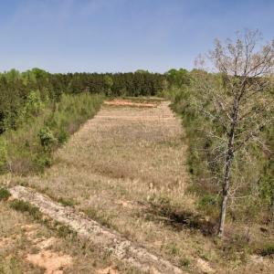 Photo #20 of SOLD property in Off Taylor’s Store Road , Nashville, NC 21.2 acres