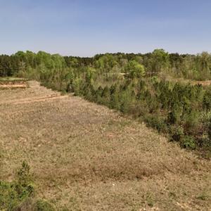 Photo #21 of SOLD property in Off Taylor’s Store Road , Nashville, NC 21.2 acres