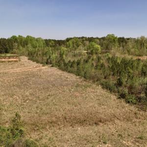 Photo #21 of SOLD property in Off Taylor’s Store Road , Nashville, NC 21.2 acres