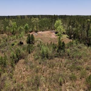 Photo #22 of SOLD property in Off Taylor’s Store Road , Nashville, NC 21.2 acres