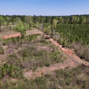 Photo #24 of SOLD property in Off Taylor’s Store Road , Nashville, NC 21.2 acres