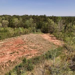 Photo #26 of SOLD property in Off Taylor’s Store Road , Nashville, NC 21.2 acres