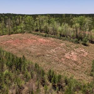 Photo #28 of SOLD property in Off Taylor’s Store Road , Nashville, NC 21.2 acres