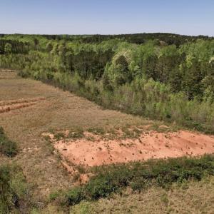 Photo #29 of SOLD property in Off Taylor’s Store Road , Nashville, NC 21.2 acres