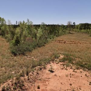 Photo #30 of SOLD property in Off Taylor’s Store Road , Nashville, NC 21.2 acres