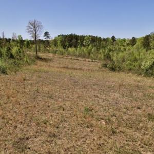 Photo #31 of SOLD property in Off Taylor’s Store Road , Nashville, NC 21.2 acres