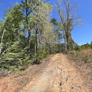 Photo #32 of SOLD property in Off Taylor’s Store Road , Nashville, NC 21.2 acres
