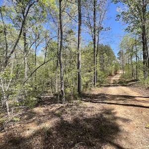 Photo #33 of SOLD property in Off Taylor’s Store Road , Nashville, NC 21.2 acres