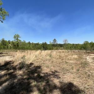 Photo #34 of SOLD property in Off Taylor’s Store Road , Nashville, NC 21.2 acres