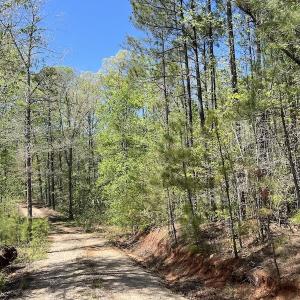 Photo #36 of SOLD property in Off Taylor’s Store Road , Nashville, NC 21.2 acres