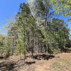 Photo #38 of SOLD property in Off Taylor’s Store Road , Nashville, NC 21.2 acres
