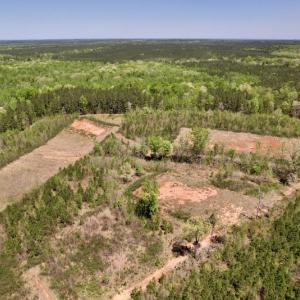Photo #4 of SOLD property in Off Taylor’s Store Road , Nashville, NC 21.2 acres